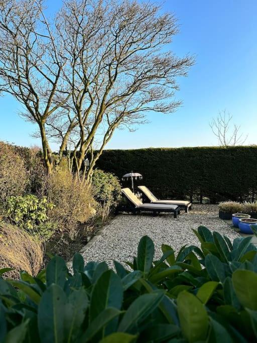 Beachhouse Zonneweelde Noordwijk Bagian luar foto